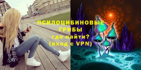 PSILOCYBIN Алексеевка