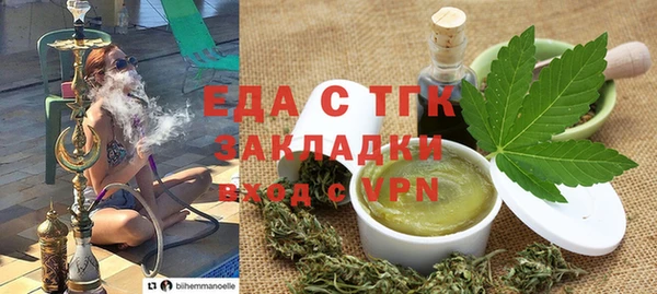 хмурый Пересвет