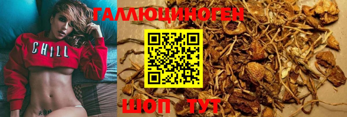 Галлюциногенные грибы мицелий Минусинск